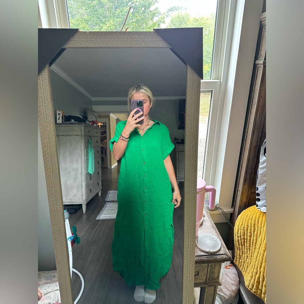 NWT button up dress